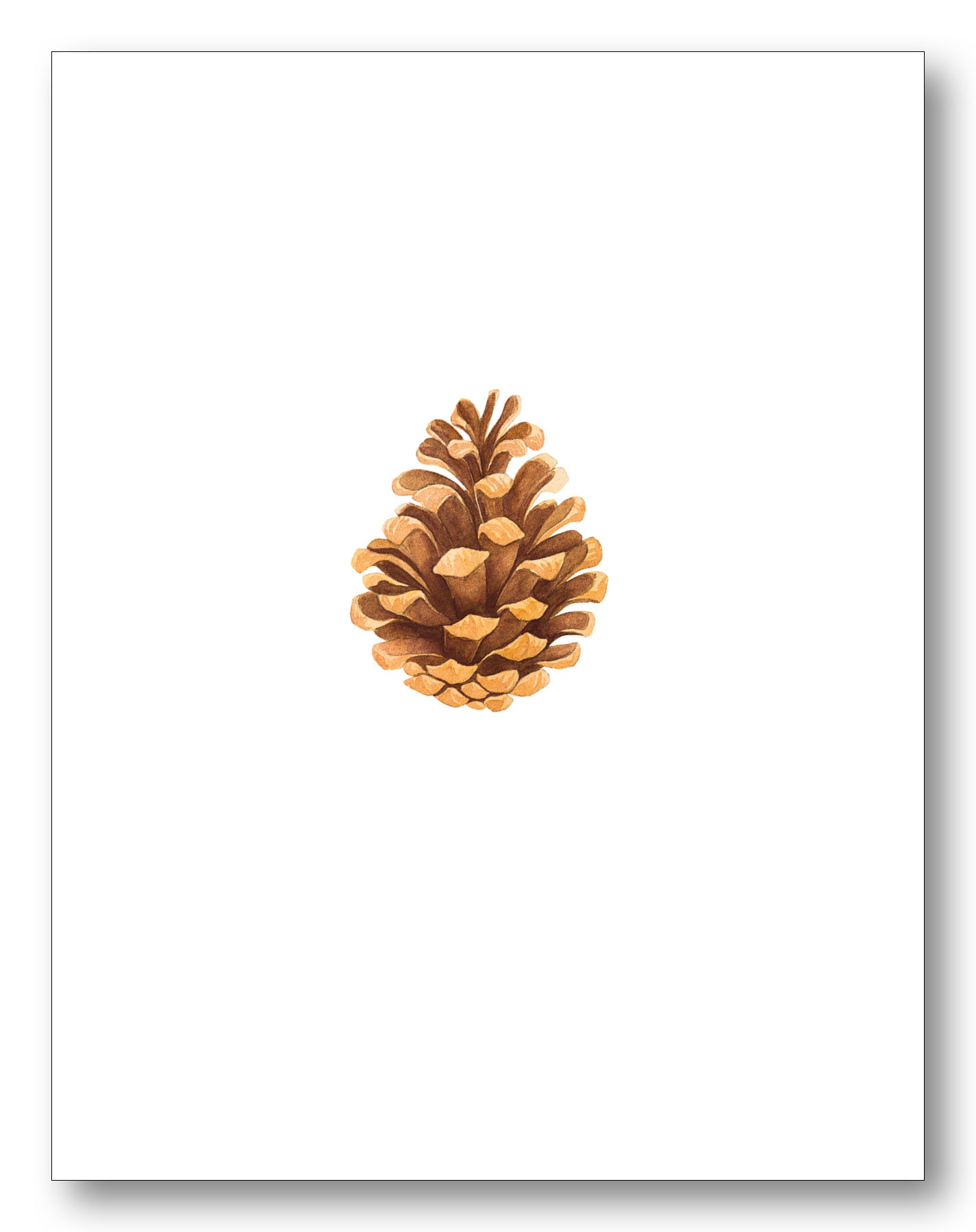 Nature Boxed Note Cards