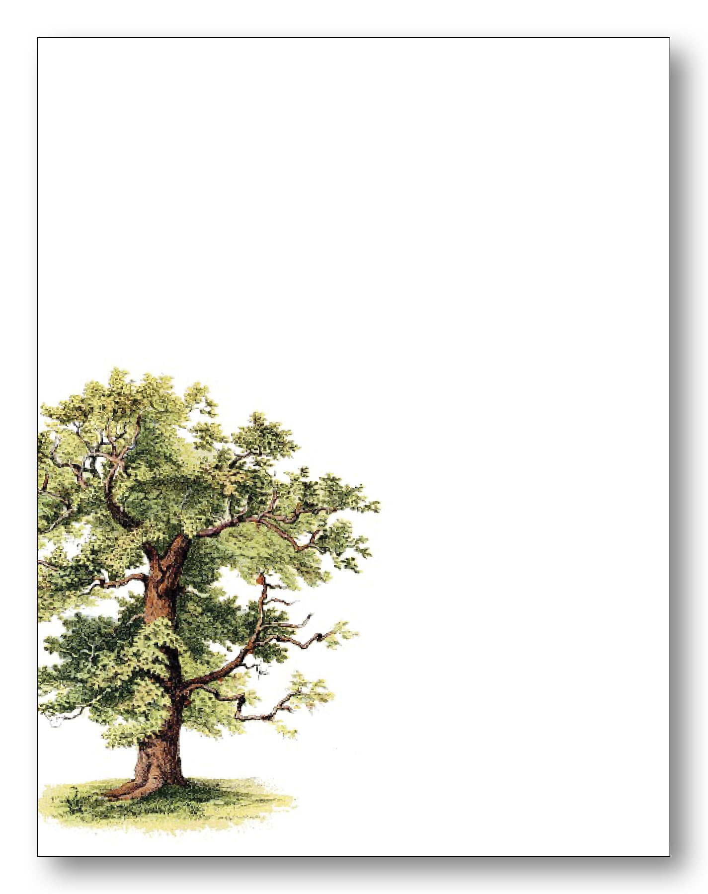 Nature Boxed Note Cards