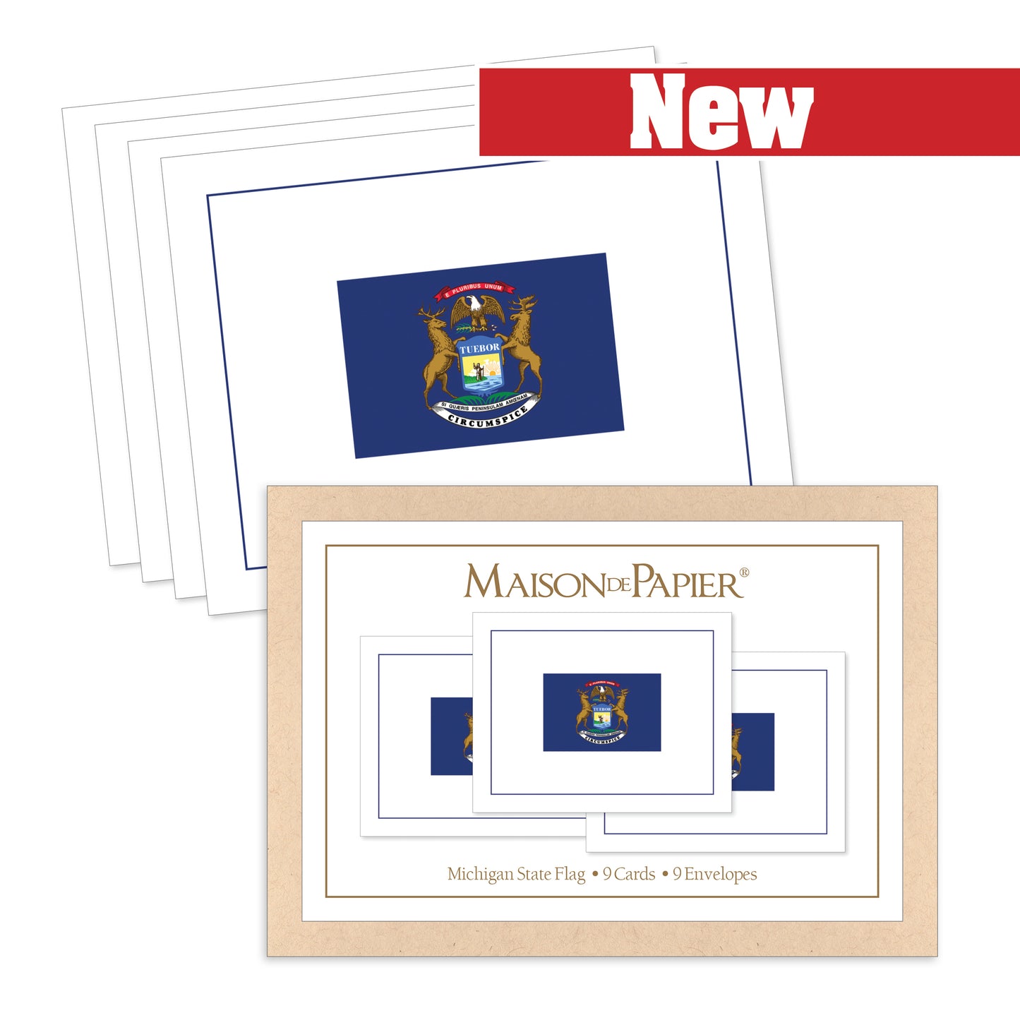 Michigan Flag Boxed Note Cards