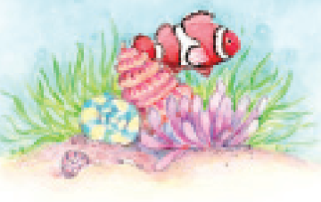 FR4144 Blank Note Cards