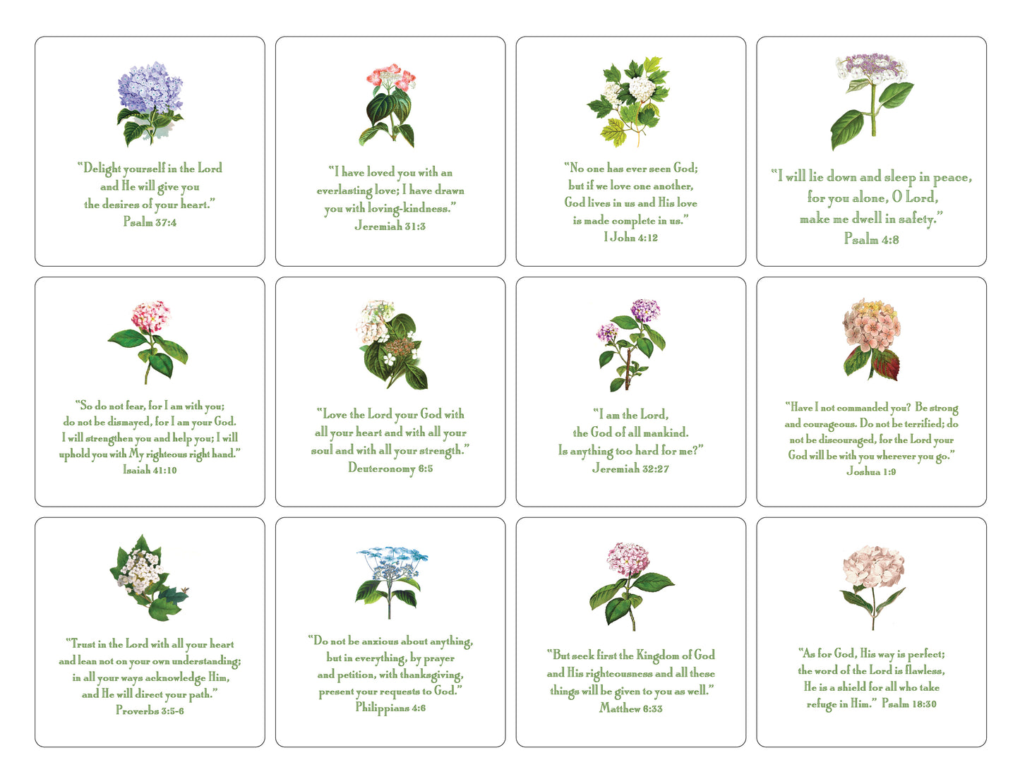 Hydrangea - 24 Verses