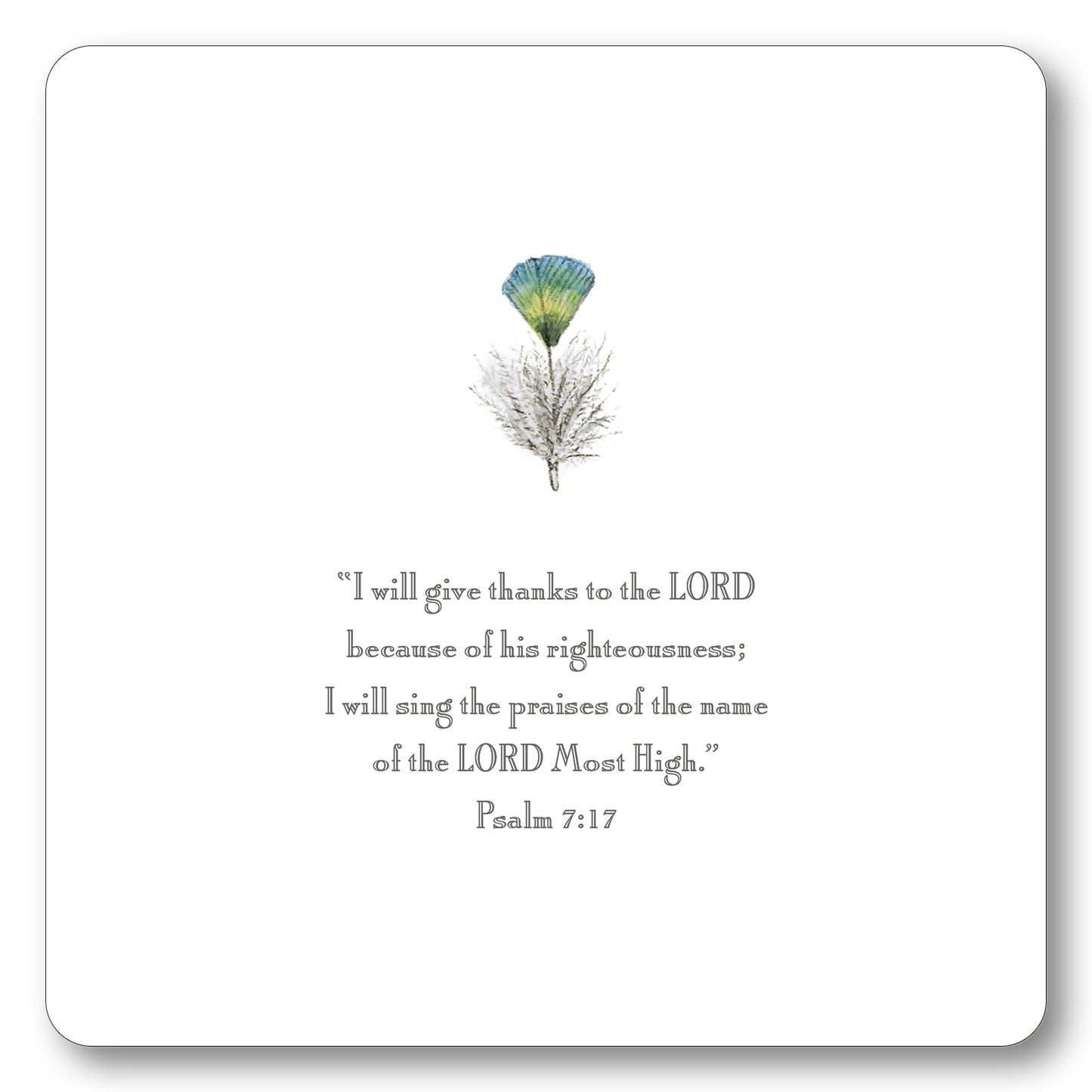 Thankfulness Verses Oversized