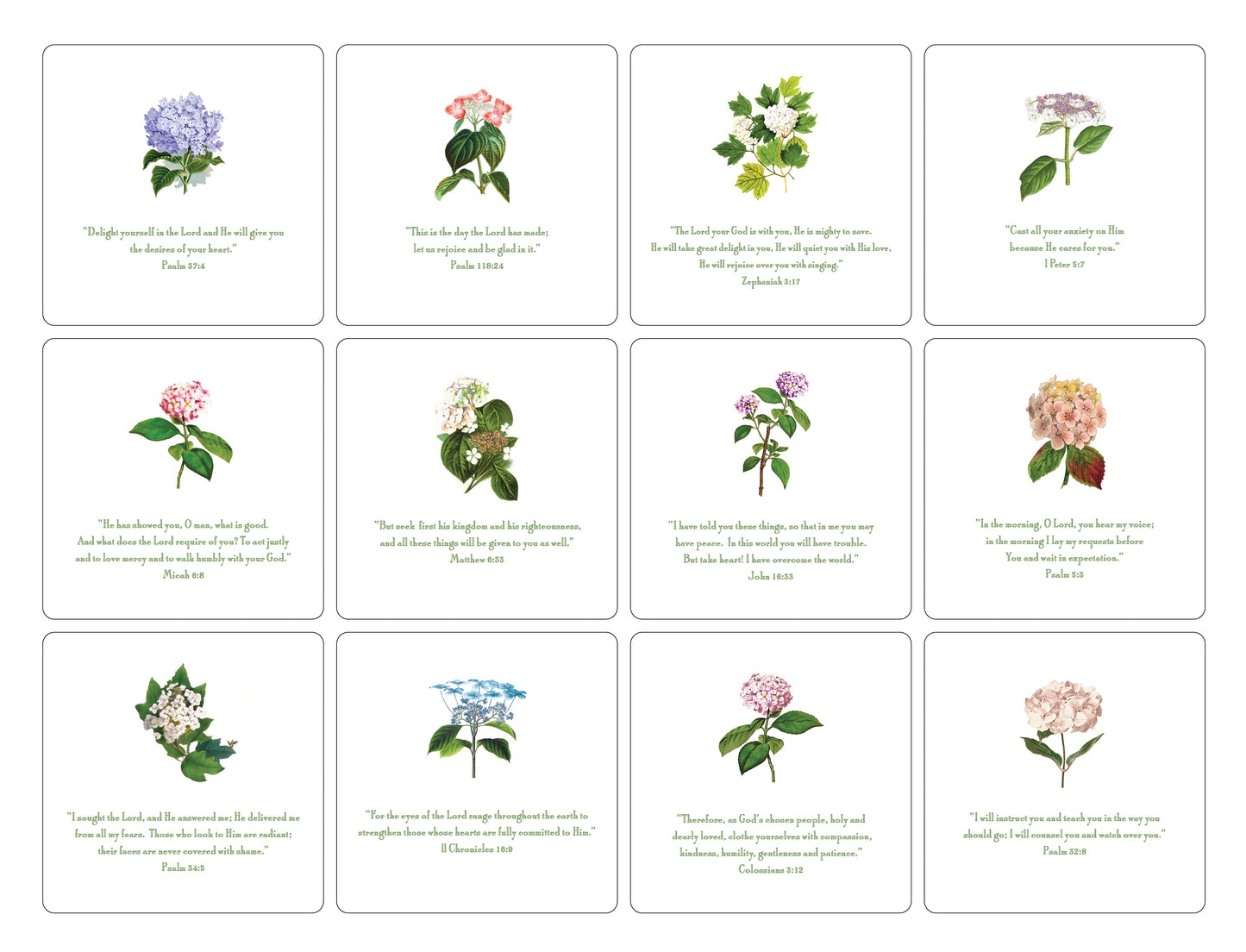 Hydrangea Verses Oversized