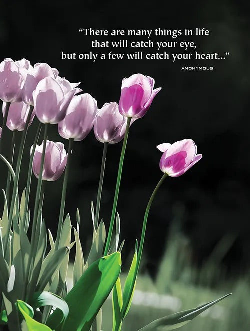 VPS06010 Valentine's Day Card