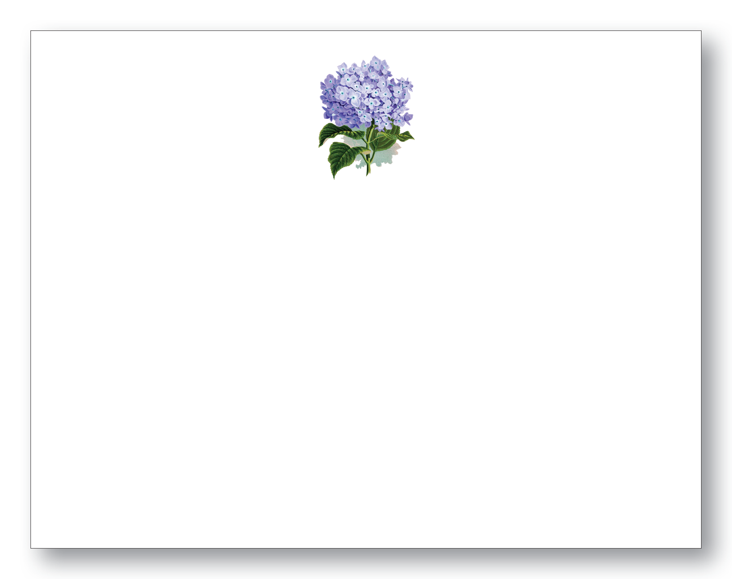 Hydrangea Note Card