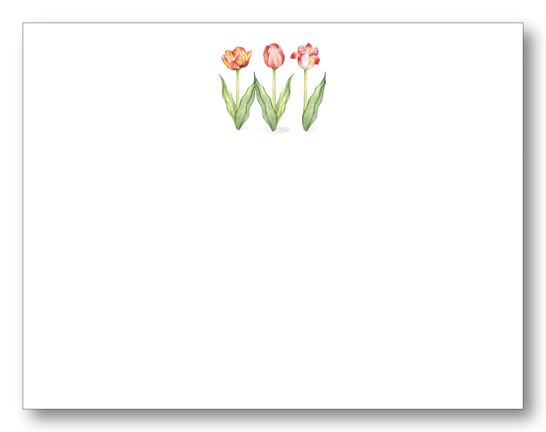 Tulips Note Tulip Trio Note Card – Shade Tree Greetings