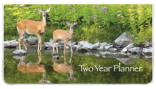 Two Year Planner FRG80246