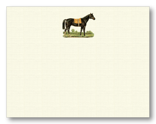 Horse Thoroughbred Note Card