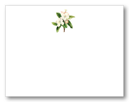 Pear Blossom Note Card