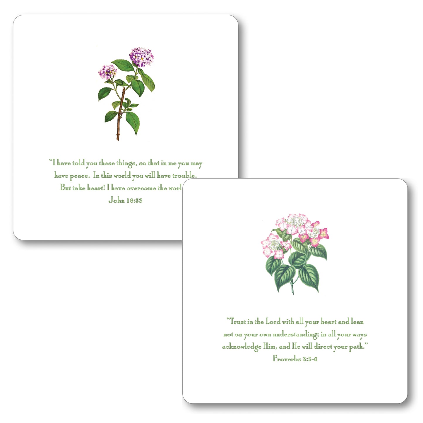 Hydrangea Quotes Oversized