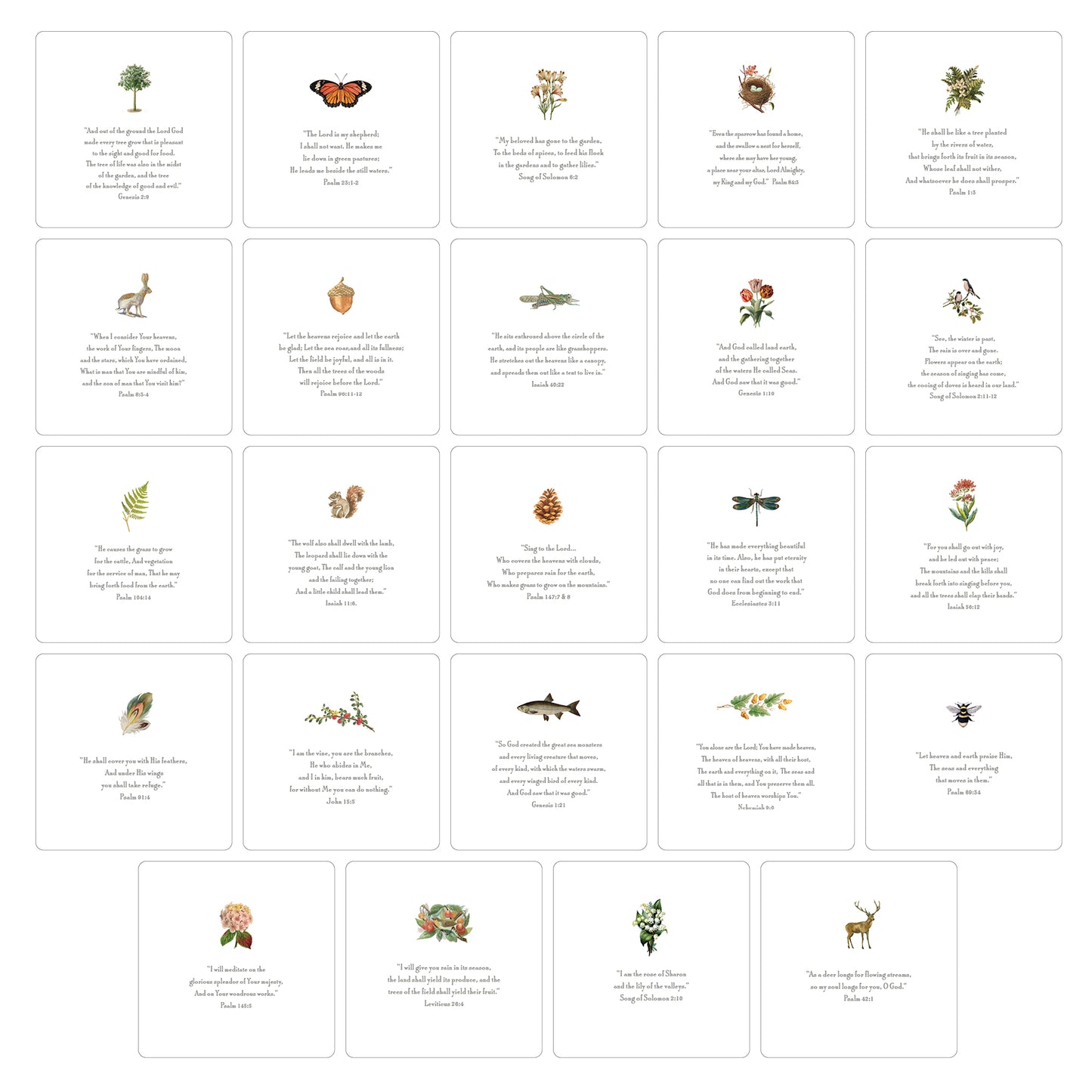 Nature Quotes Oversized