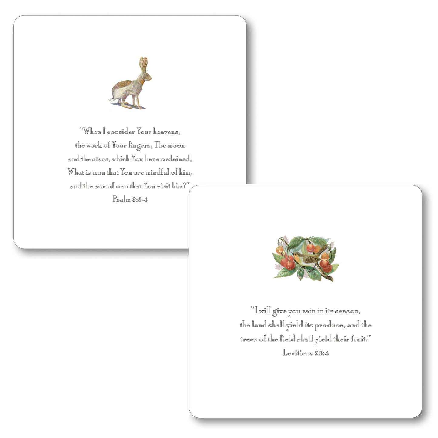 Nature Quotes Oversized