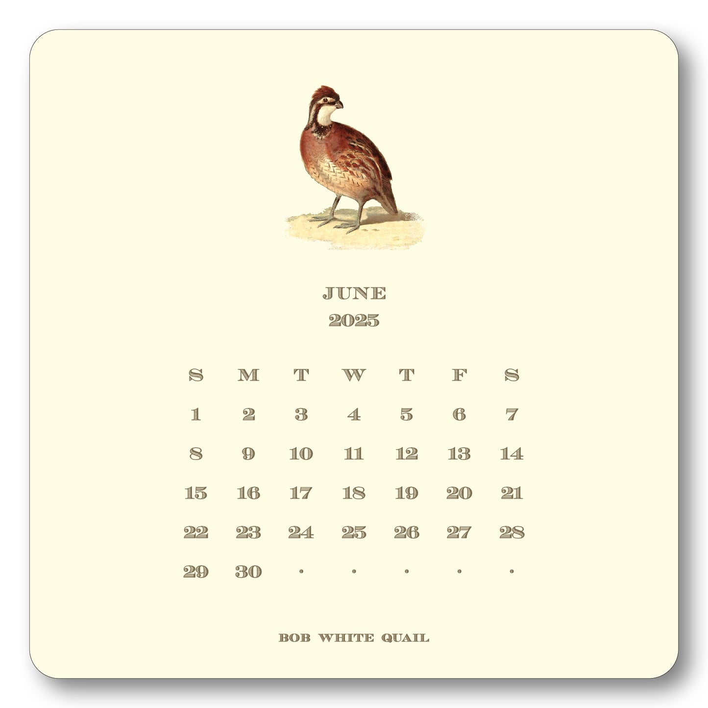 2025 Upland Bird Calendar with Easel