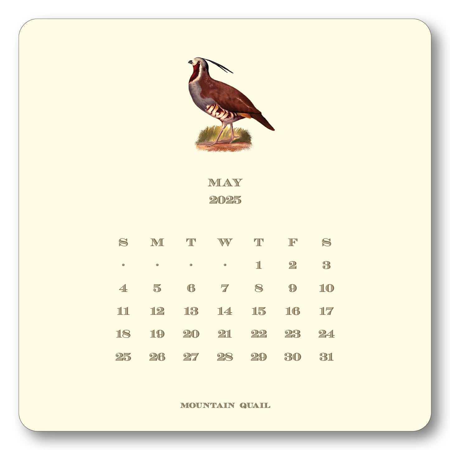 2025 Upland Bird Calendar with Easel