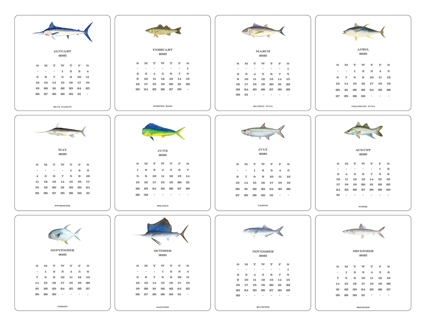 2025 Saltwater Calendar with Easel