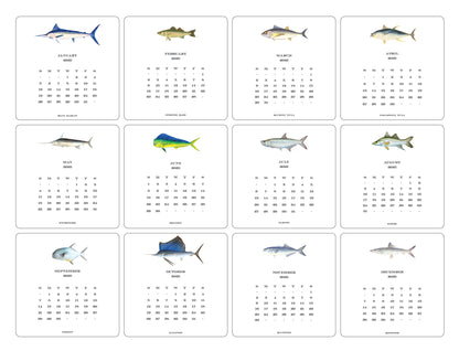 2025 Saltwater Calendar with Easel