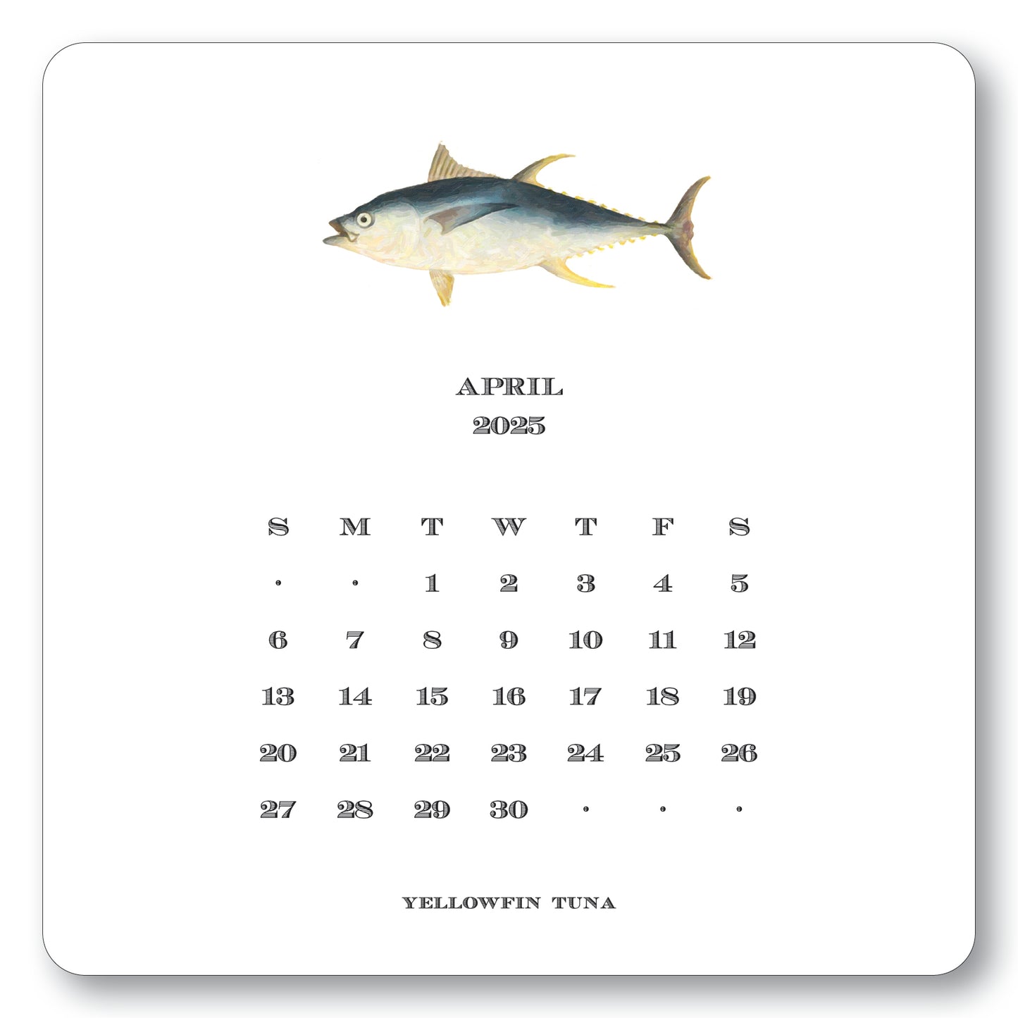 2025 Saltwater Calendar with Easel