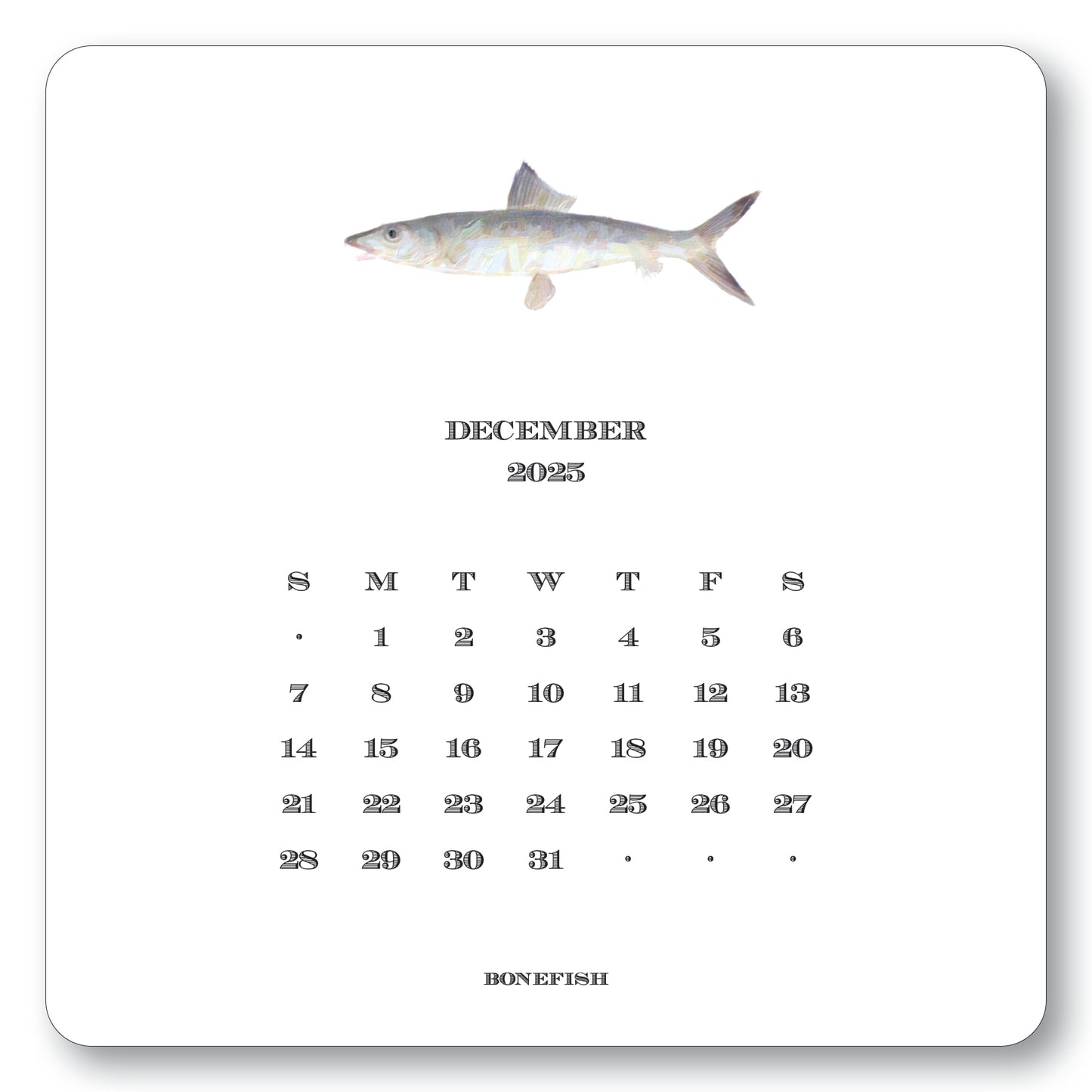 2025 Saltwater Calendar with Easel