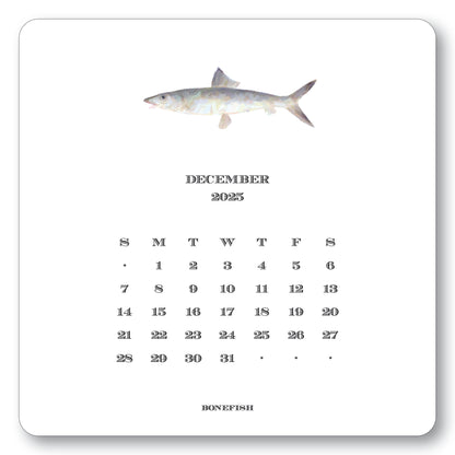 2025 Saltwater Calendar with Easel