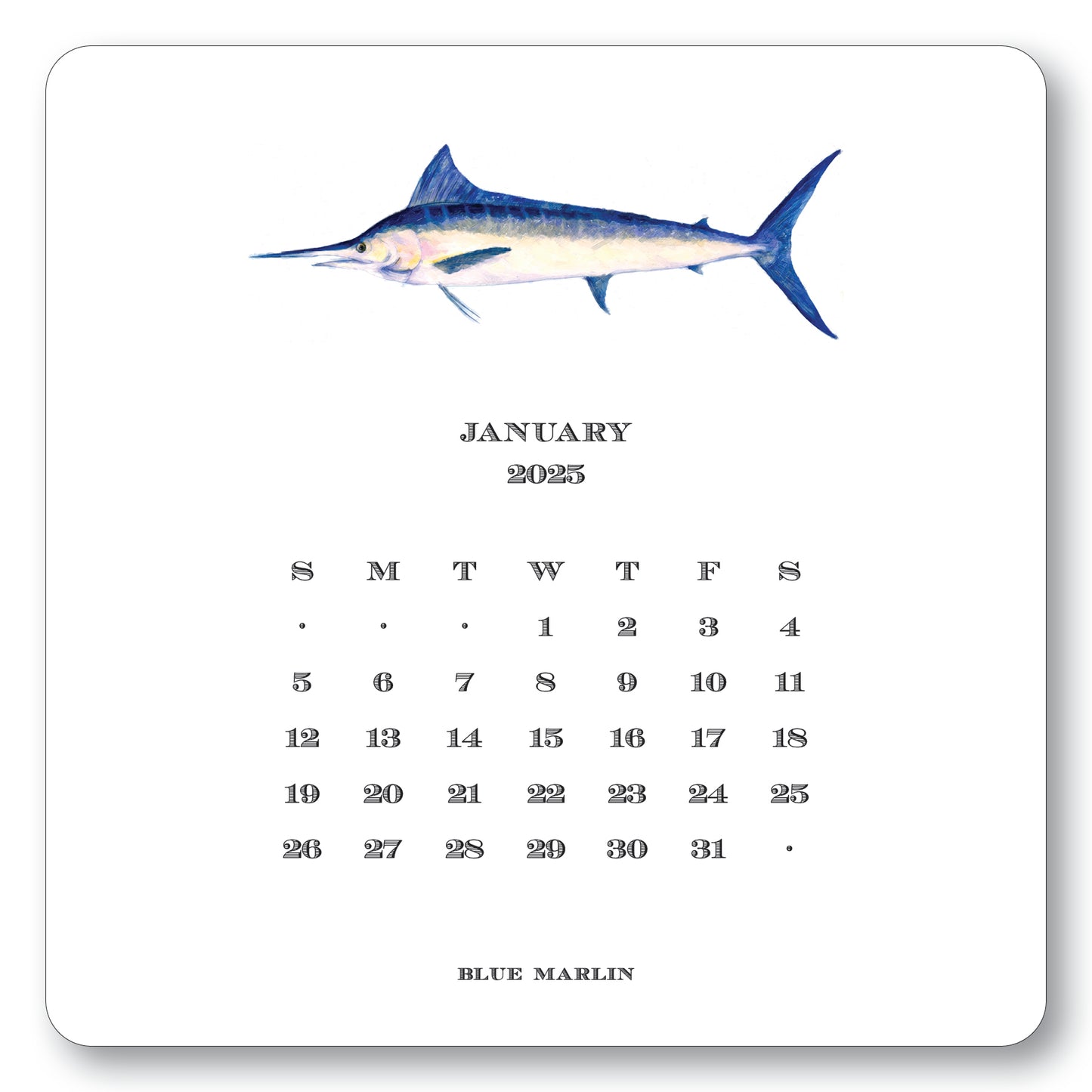 2025 Saltwater Calendar with Easel