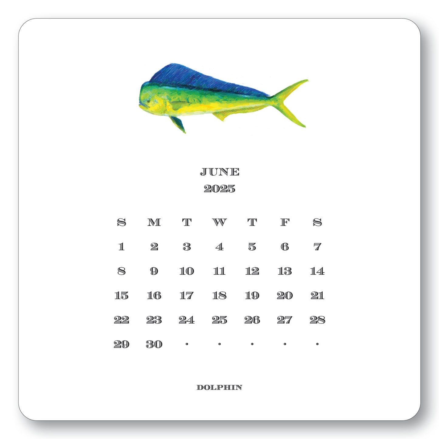 2025 Saltwater Calendar with Easel