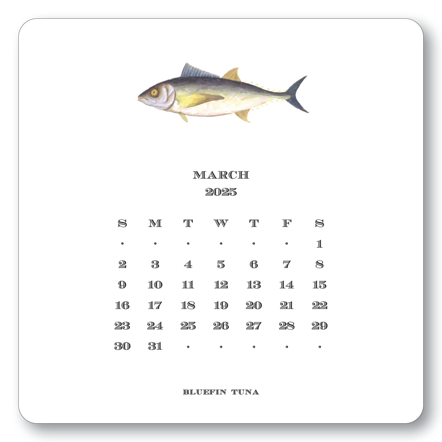 2025 Saltwater Calendar with Easel