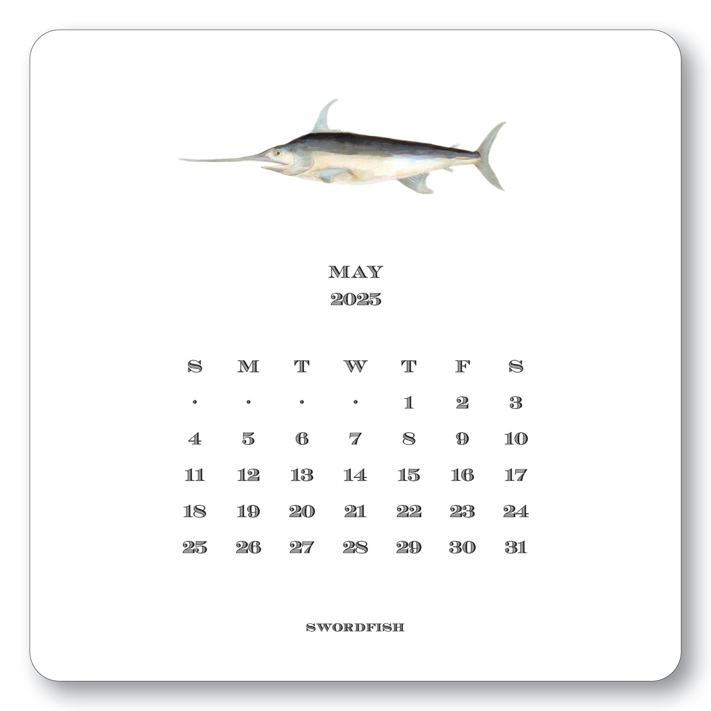 2025 Saltwater Calendar with Easel