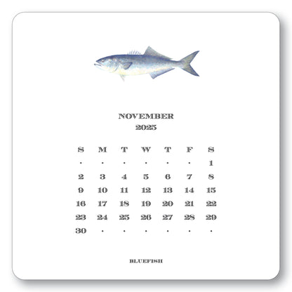 2025 Saltwater Calendar with Easel