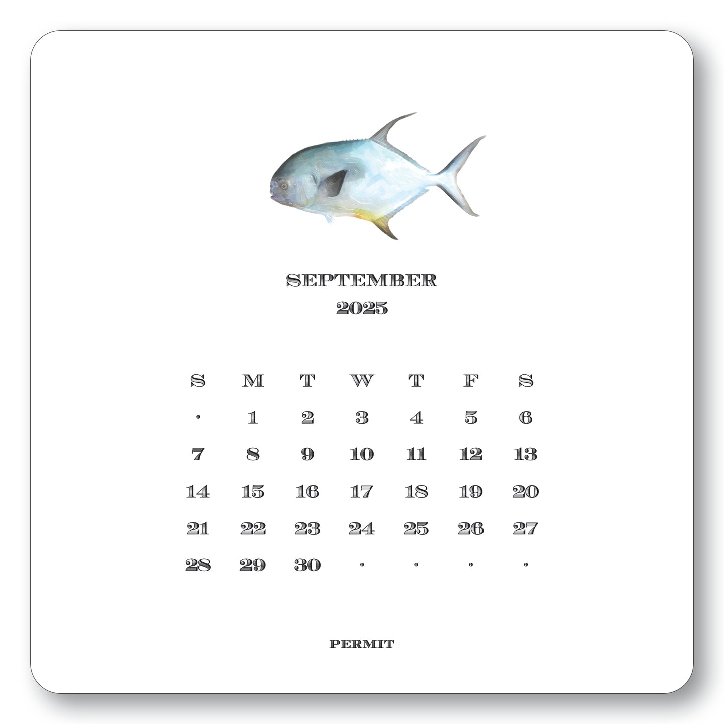 2025 Saltwater Calendar with Easel