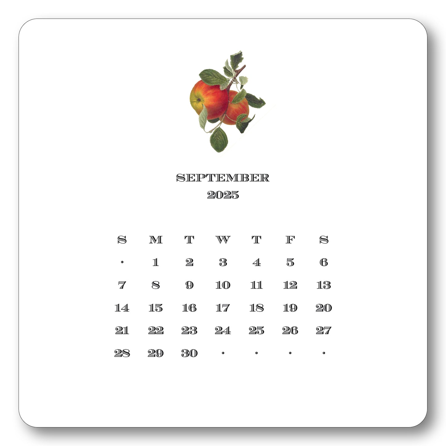 2025 Desk Calendar with Easel