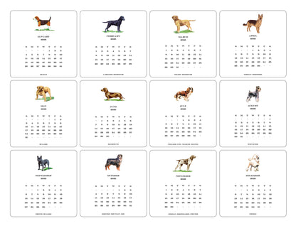 2026 Dog Calendar with Easel