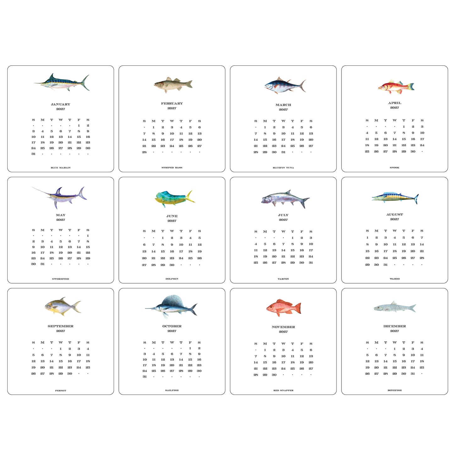 2027 Saltwater Fish Desk Calendar