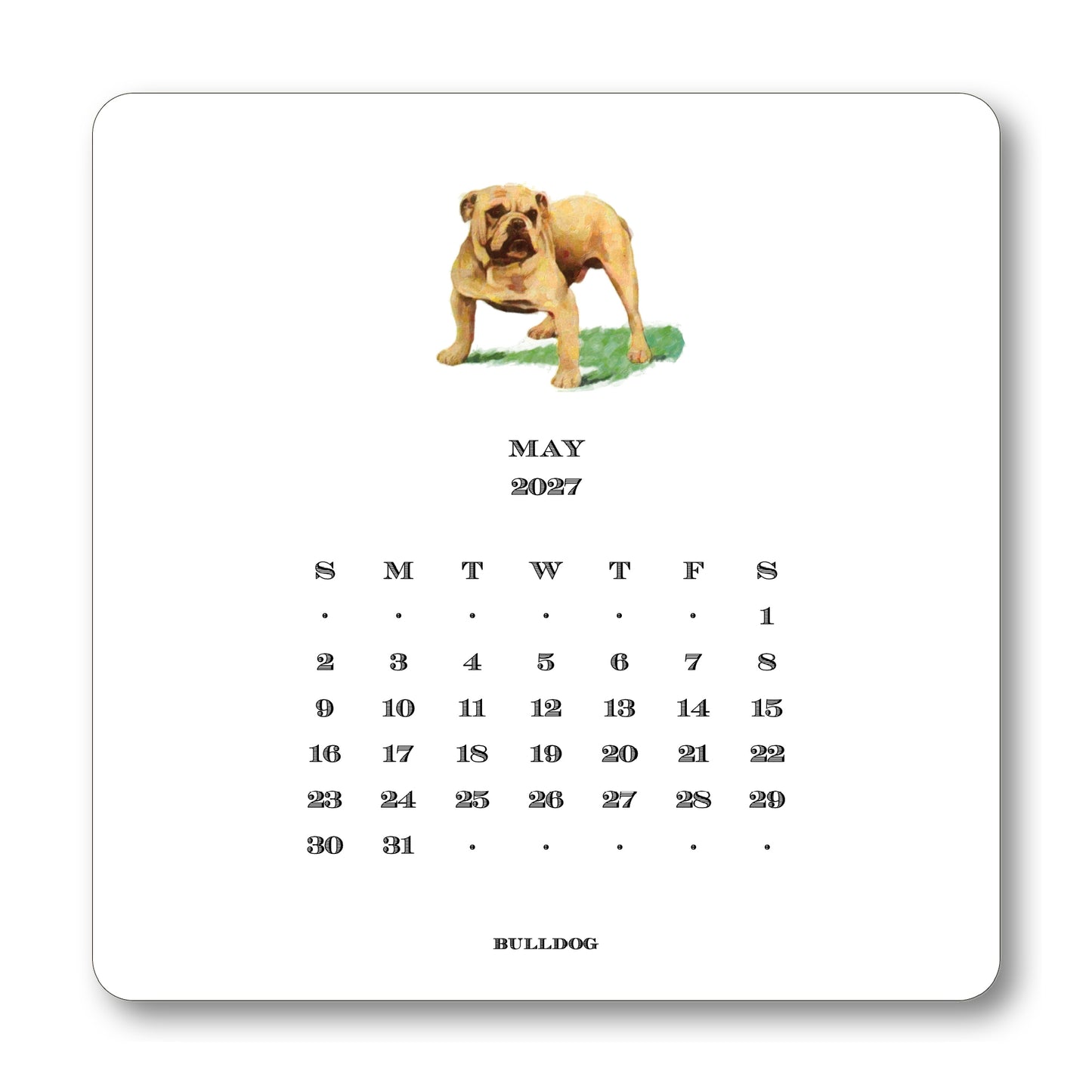 2027 Dog Desk Calendar
