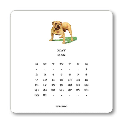 2027 Dog Desk Calendar