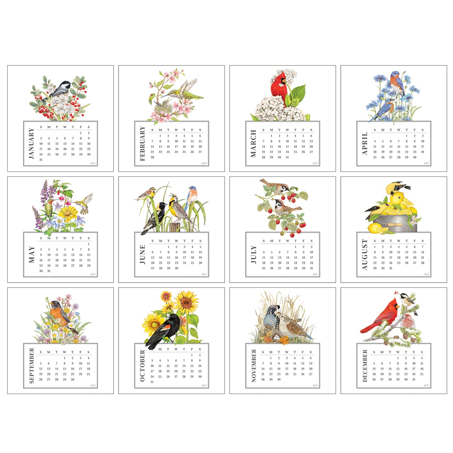 2027 Mary Lake-Thompson Bird Desk Calendar
