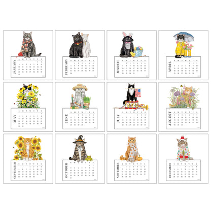 2027 Mary Lake-Thompson Cat Desk Calendar