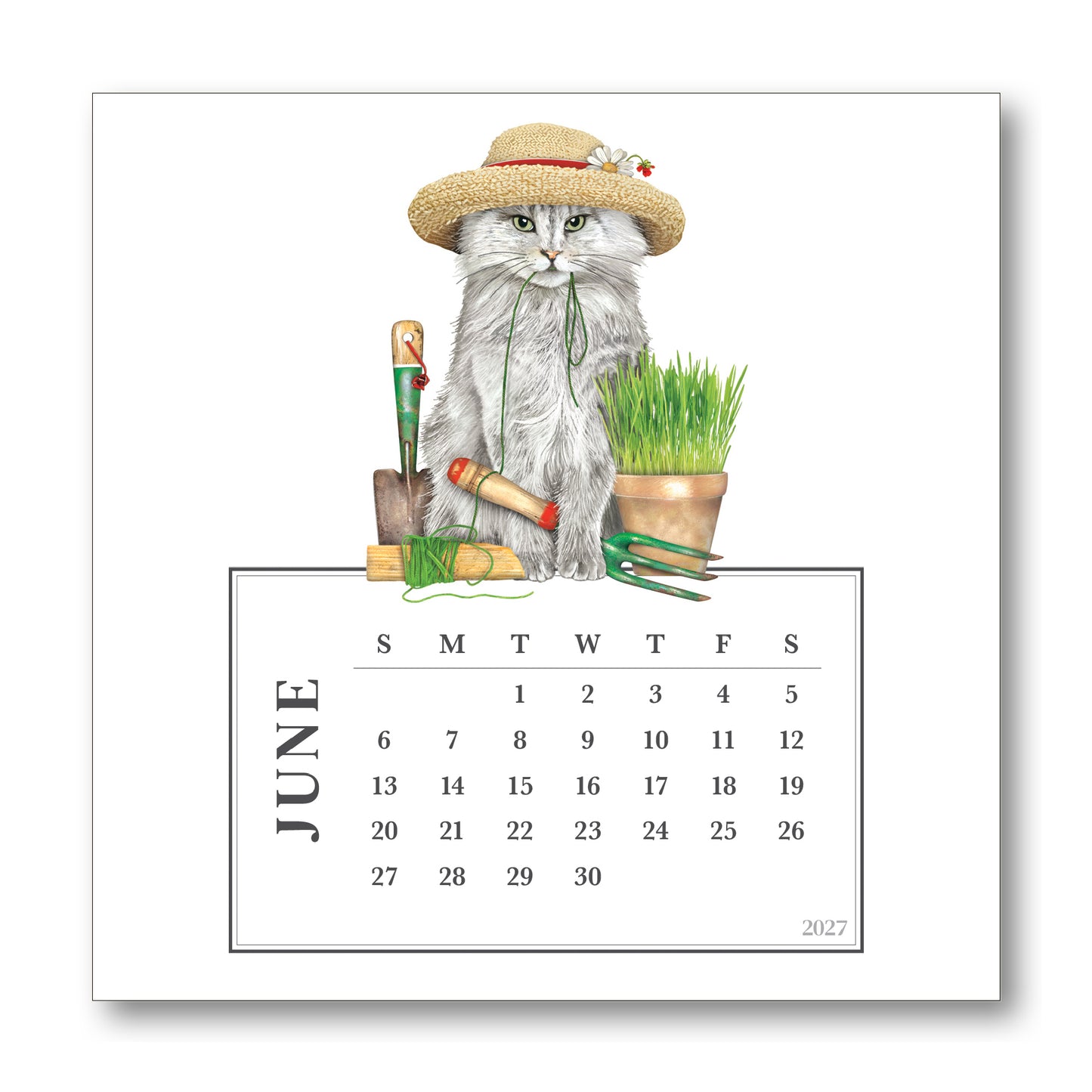 2027 Mary Lake-Thompson Cat Desk Calendar