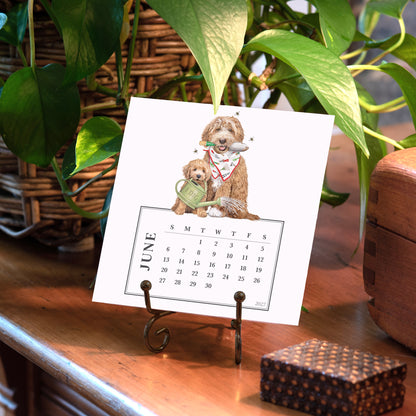 2027 Mary Lake-Thompson Dog Desk Calendar