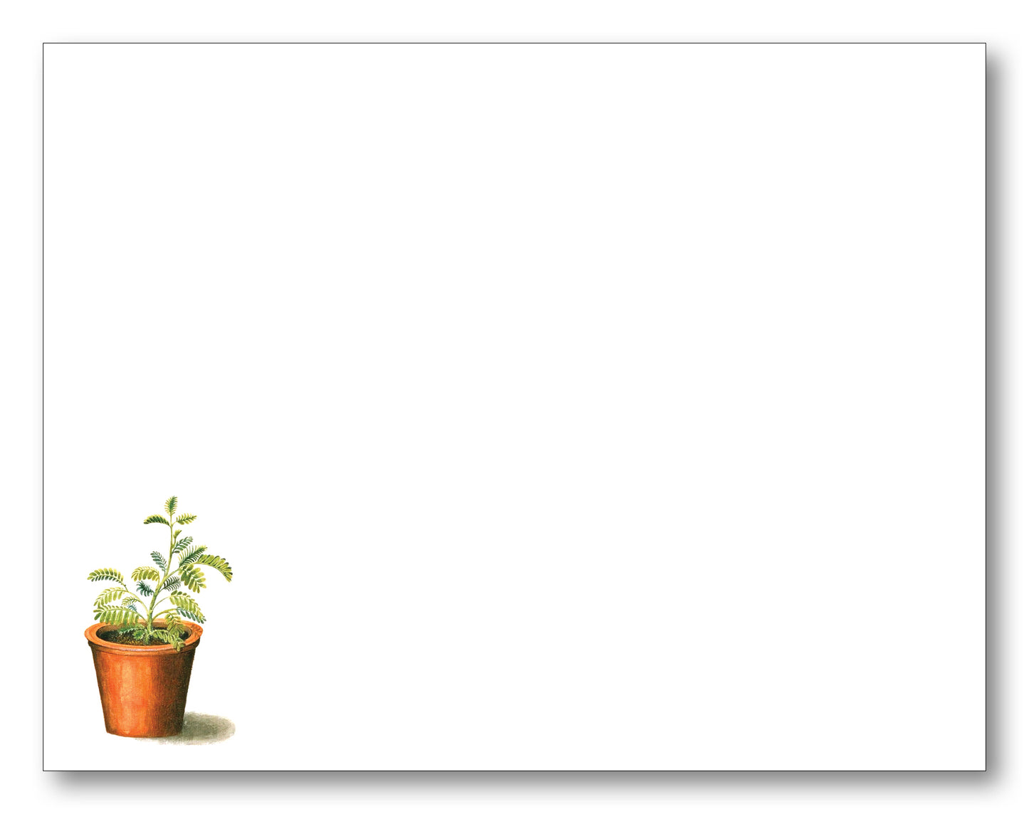 Potted Plant Note Card