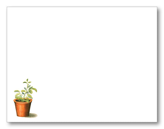 Potted Plant Note Card