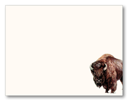 Bison Note Card