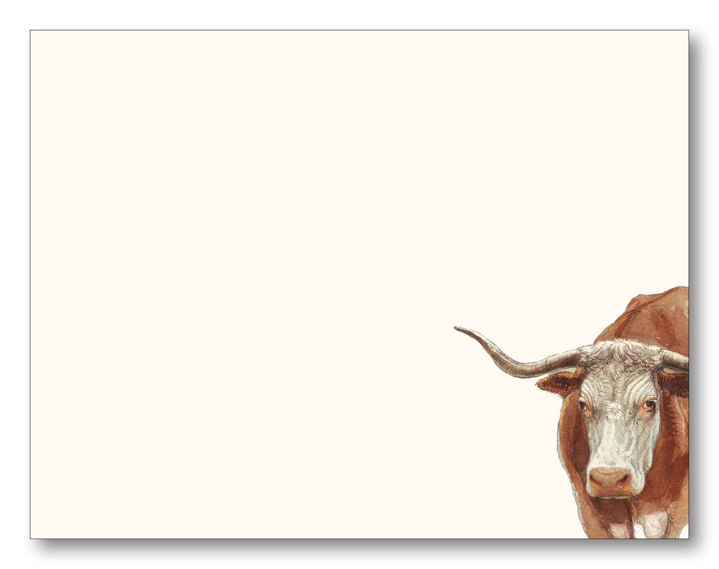 Longhorn 872 Note Card