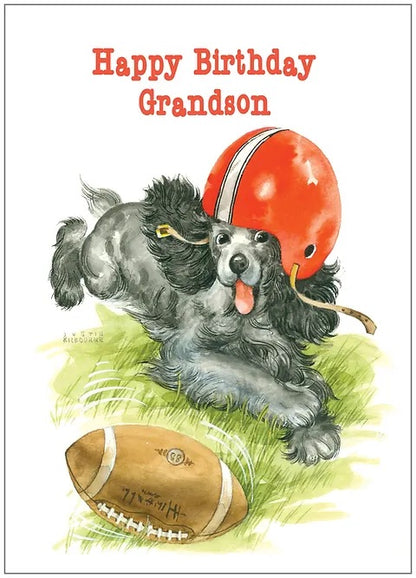 FR0250 Family Birthday Card / Grandson