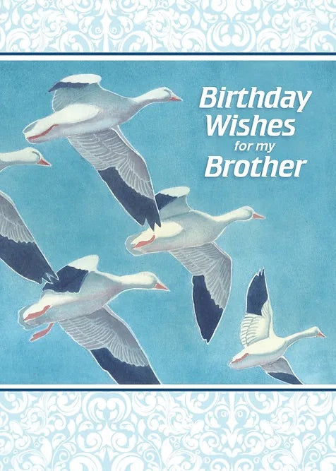 FR0344 Family Birthday Card / Brother