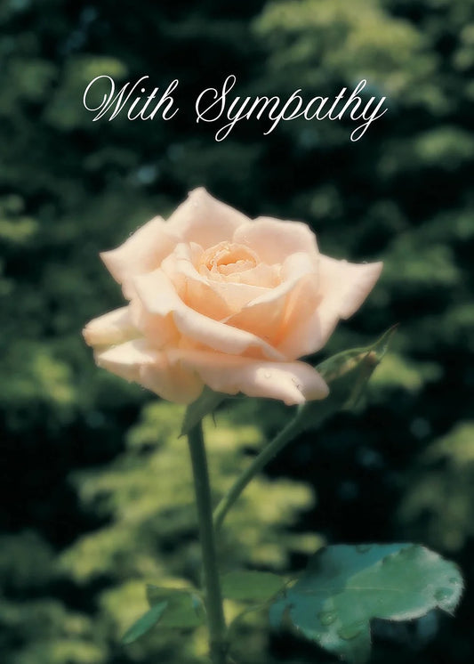 FR1101 Sympathy Card