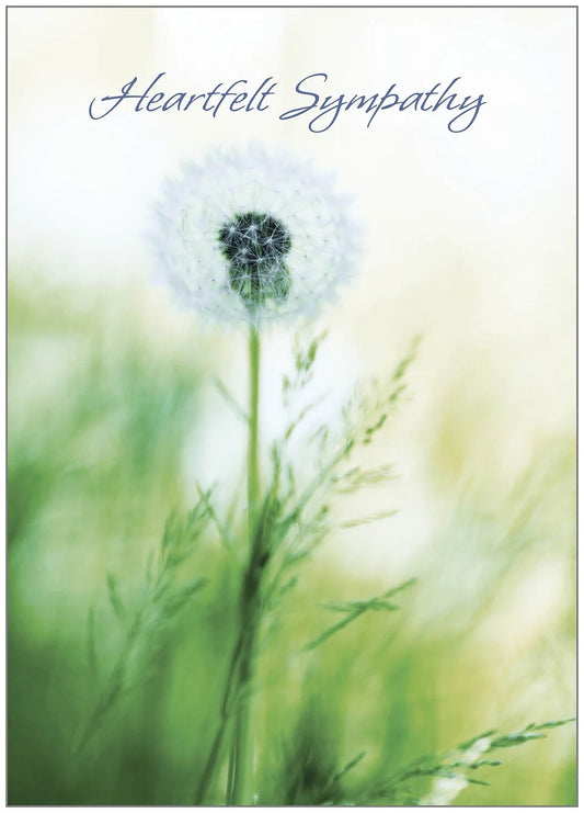 FR1121 Sympathy Card