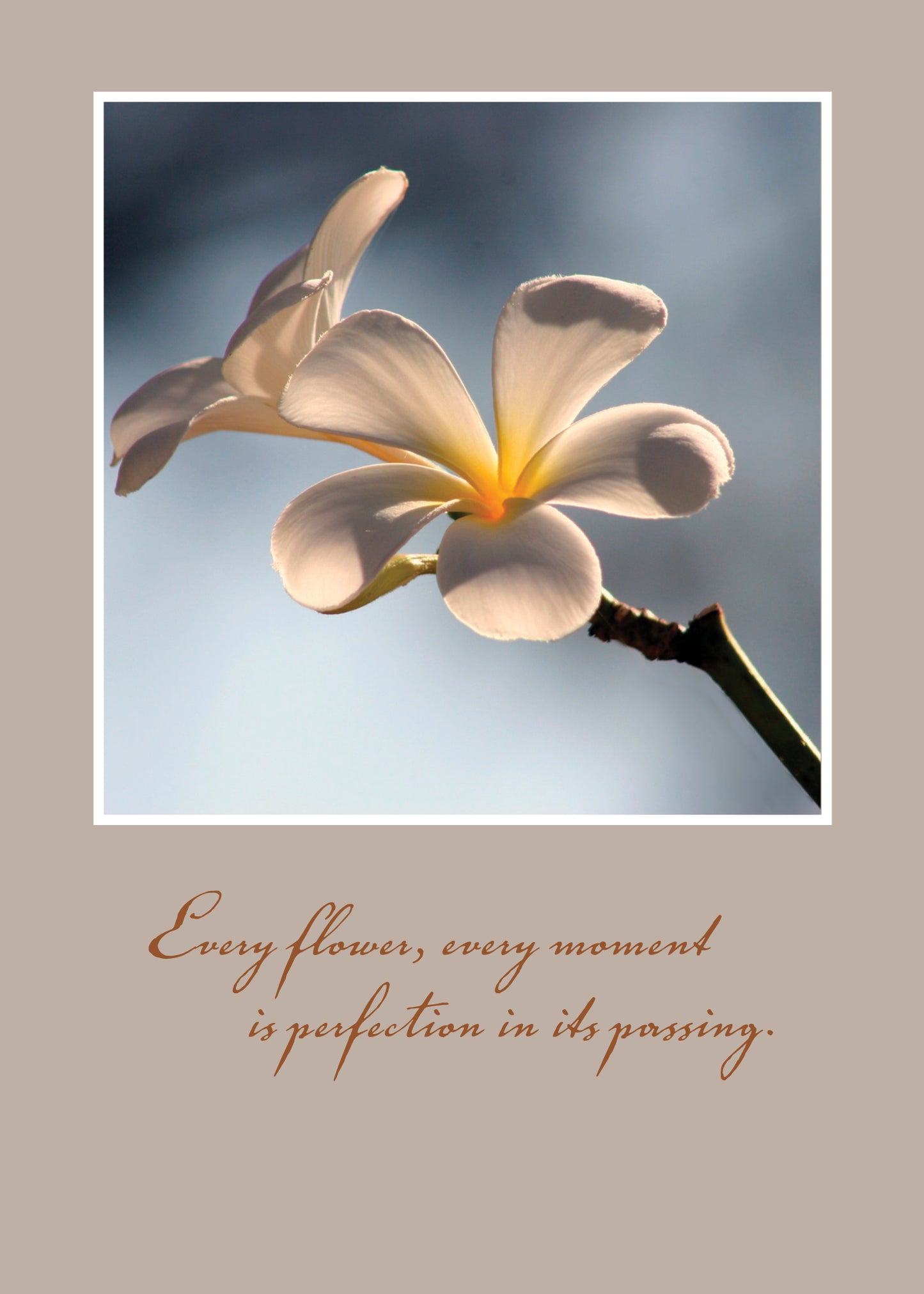 FR1327 Sympathy Card