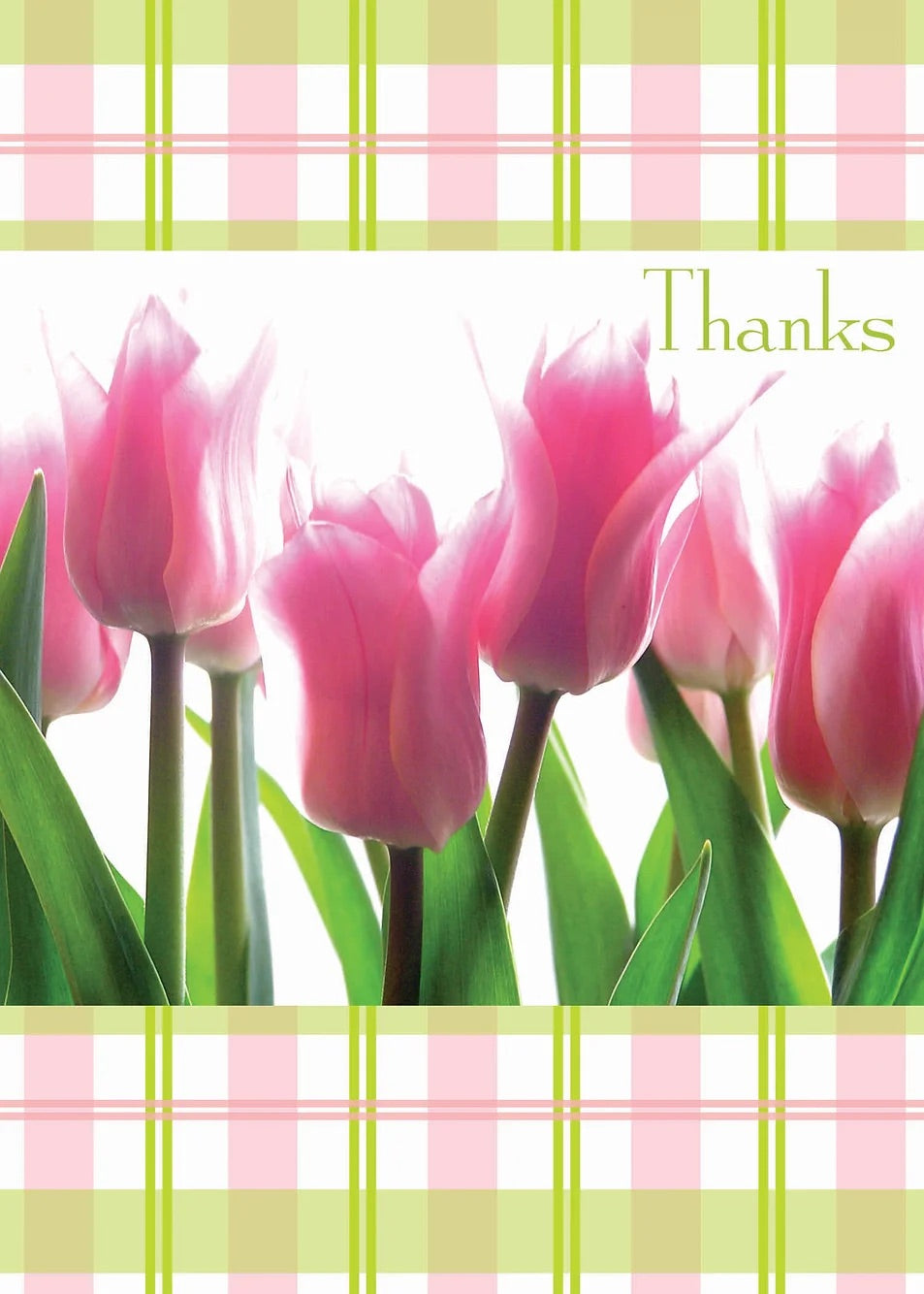 FR1705 Thank You Card