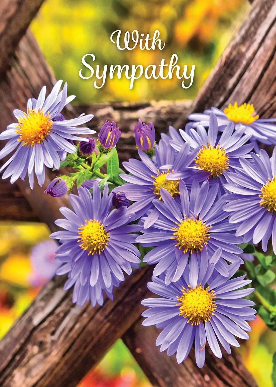 FR2301 Sympathy Card