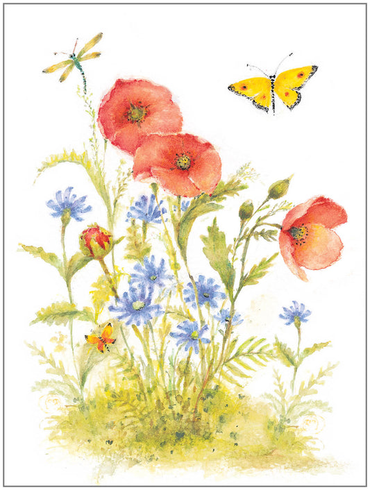 FR4012 Blank Note Cards